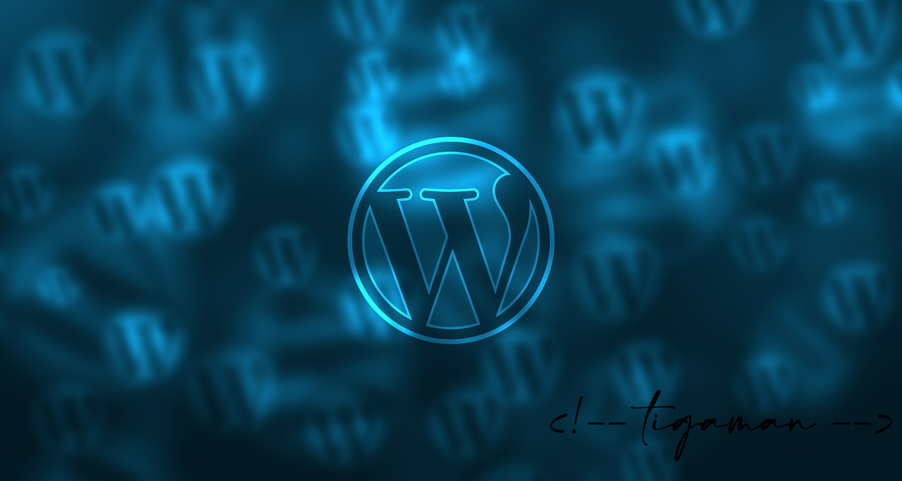 How to install a WordPress plugin?