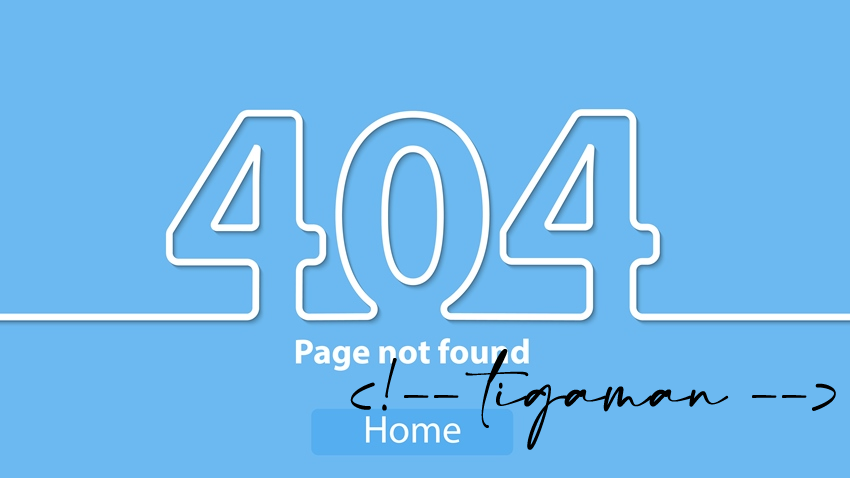 WordPress 404 redirect code