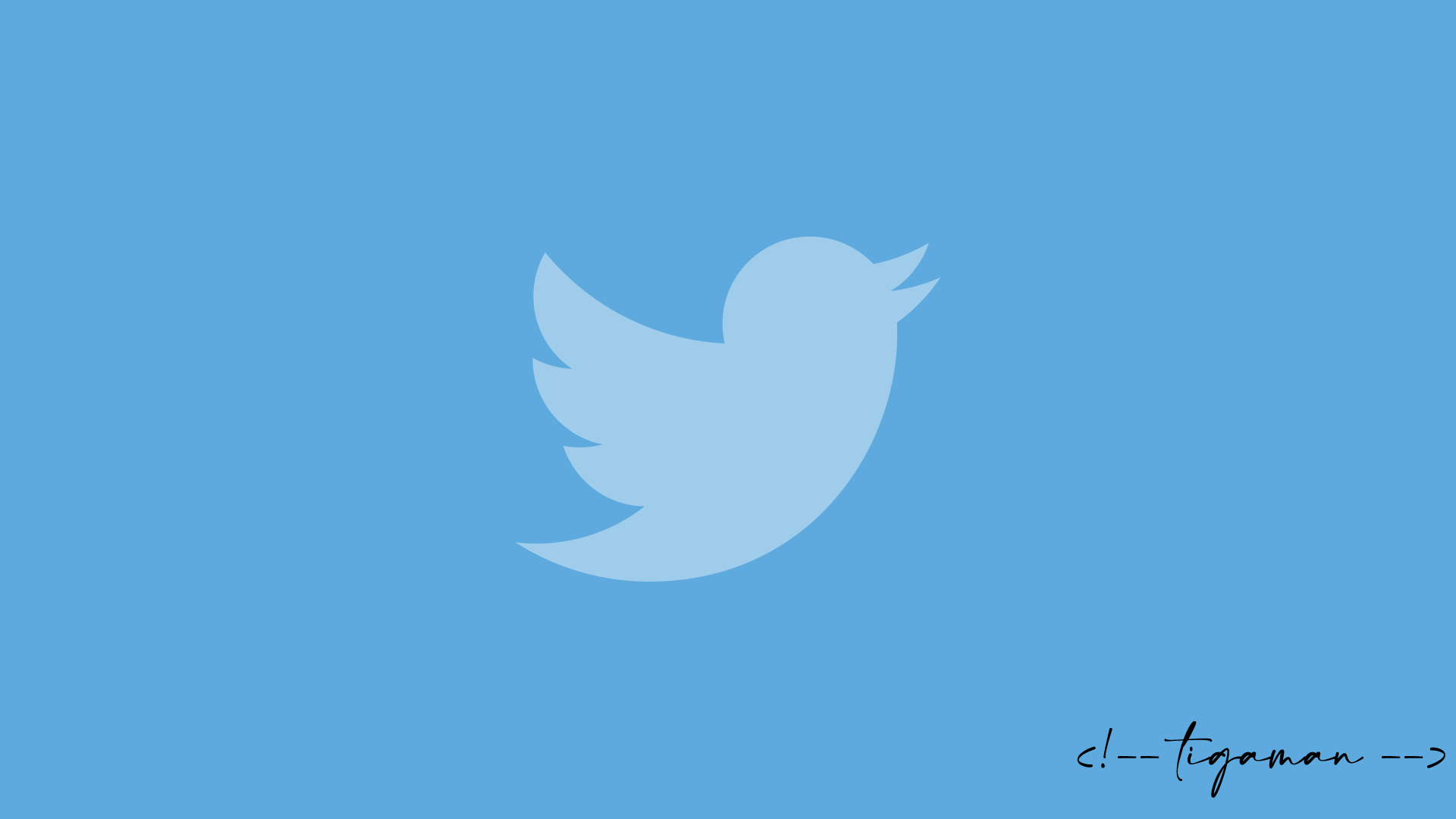 Add Twitter meta tag to header – wordpress plugin