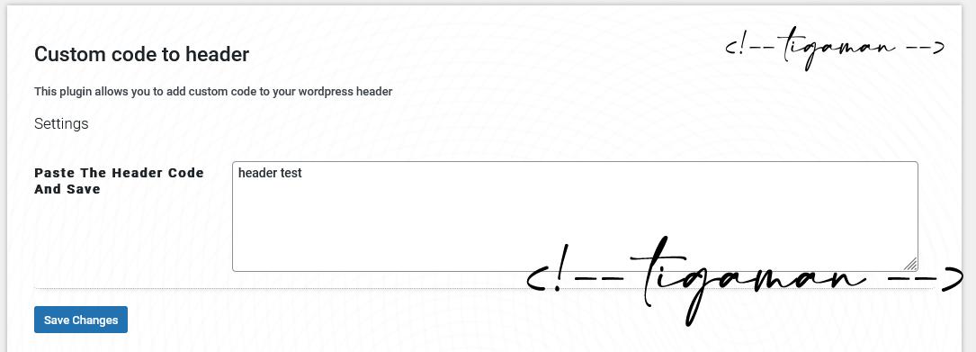 Add Custom Code To WordPress Head – WordPress Plugin